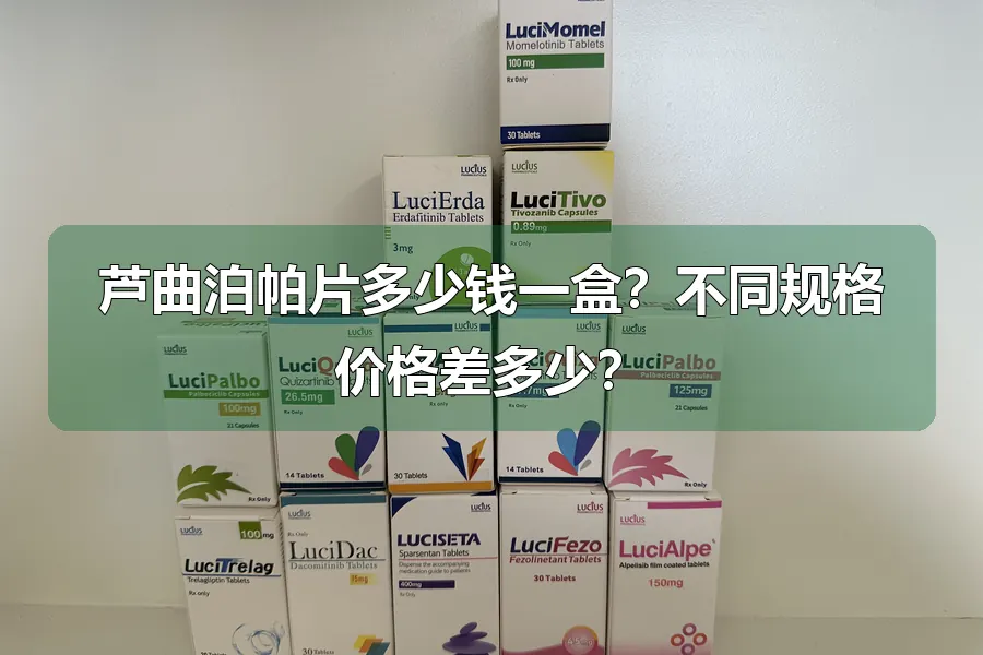 芦曲泊帕片多少钱一盒?不同规格价格差多少?